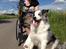 Border collie Catch