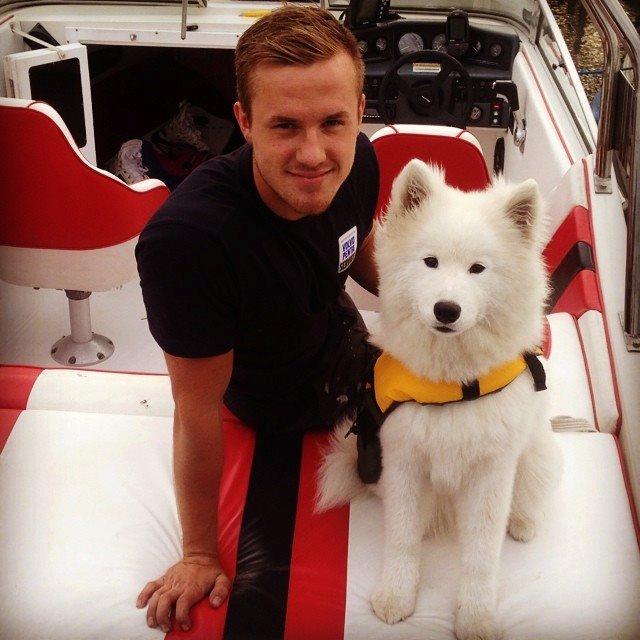 Samojedhund Eya billede 3