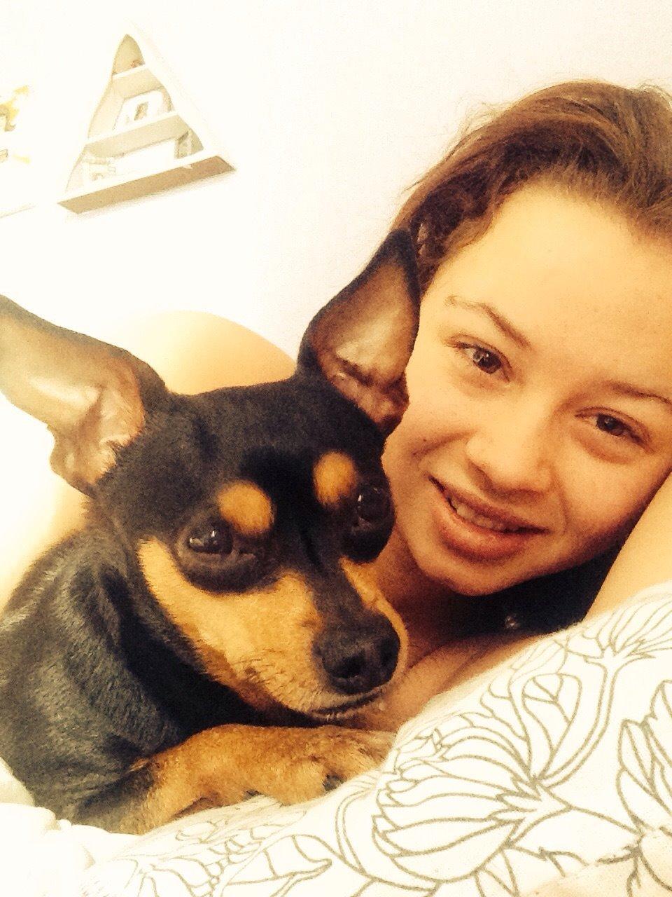 Dvaergpinscher Måns  billede 5