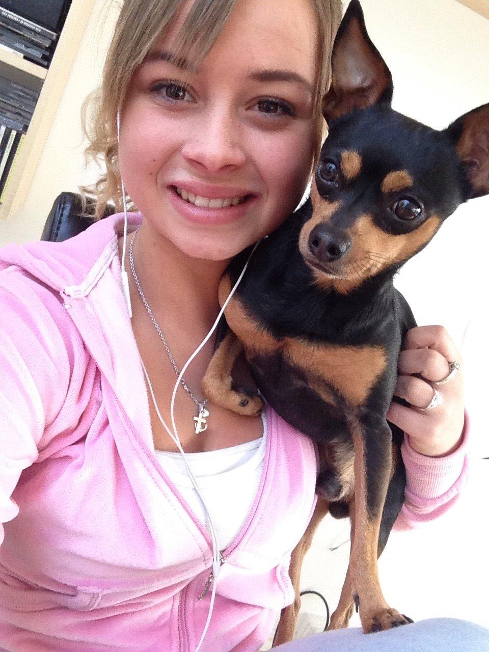 Dvaergpinscher Måns  billede 17