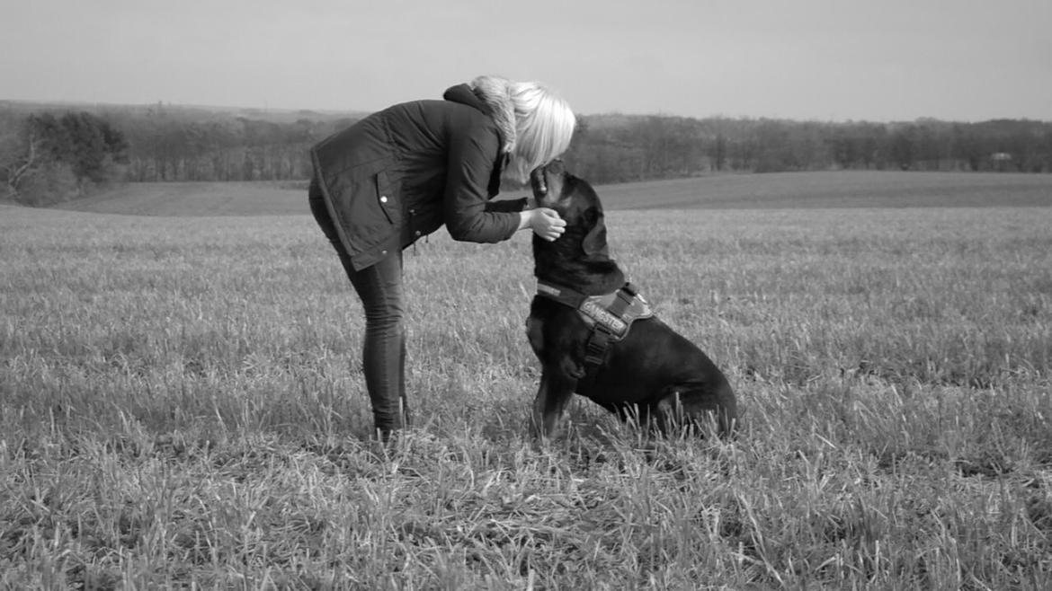 Rottweiler Fafner<3 |Faffe'laffe|<3 - 8/11/2014 billede 4