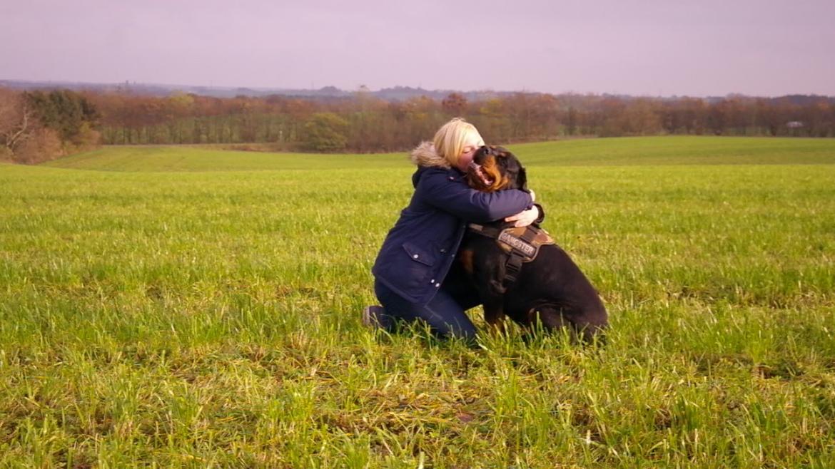 Rottweiler Fafner<3 |Faffe'laffe|<3 - 8/11/2014 billede 30