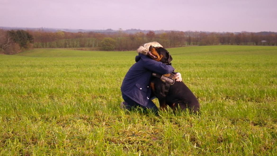 Rottweiler Fafner<3 |Faffe'laffe|<3 - 8/11/2014 billede 37