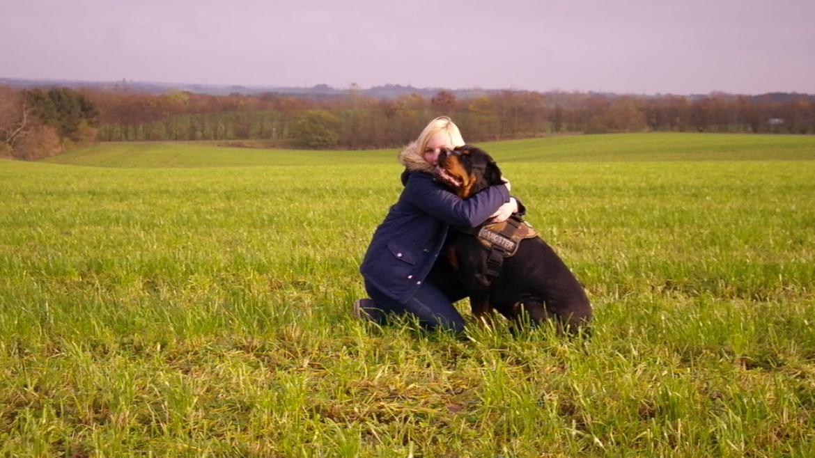 Rottweiler Fafner<3 |Faffe'laffe|<3 - 8/11/2014 billede 13