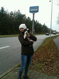 Blanding af racer Twister billede 2