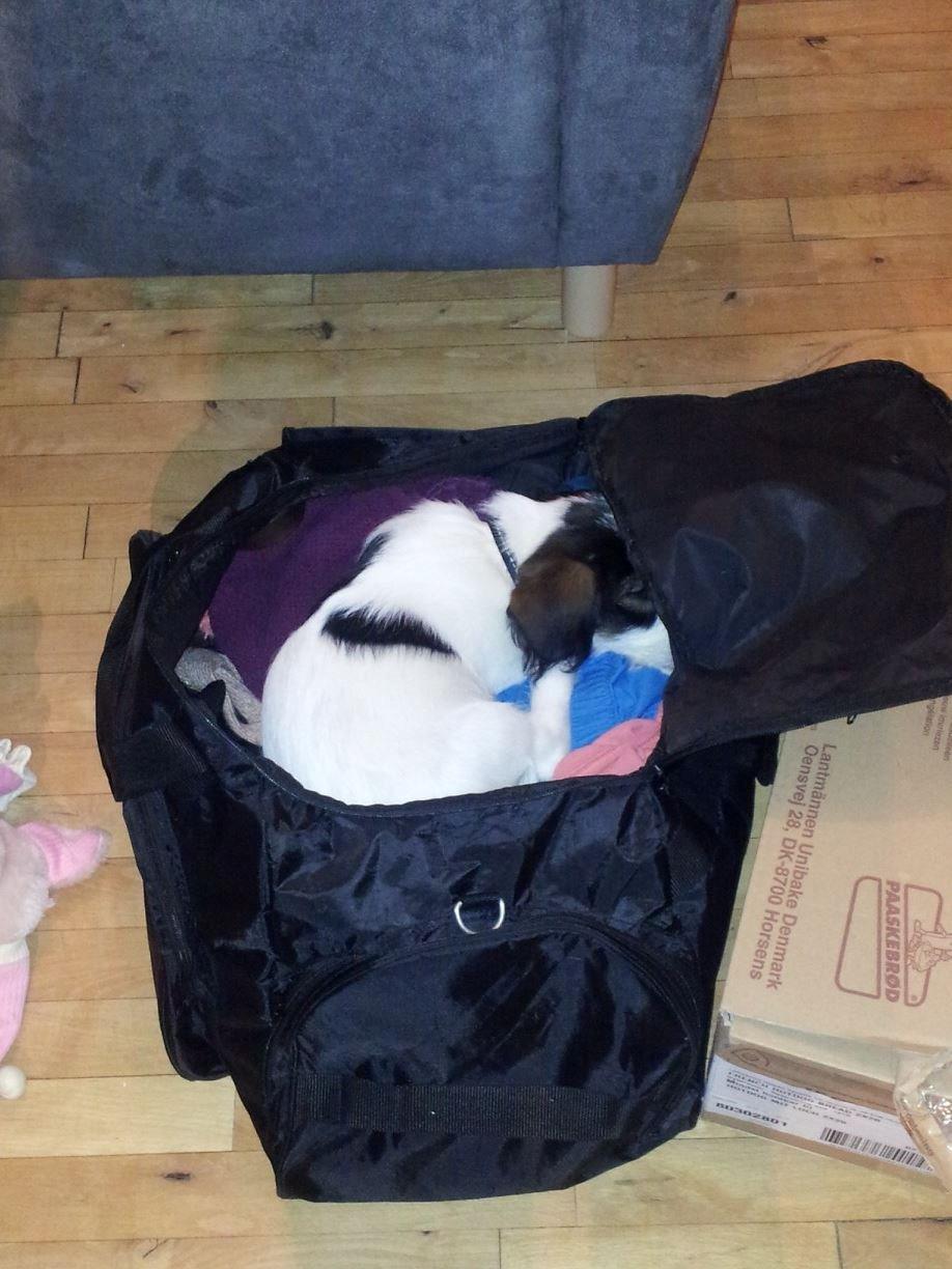 Blanding af racer Twister billede 8