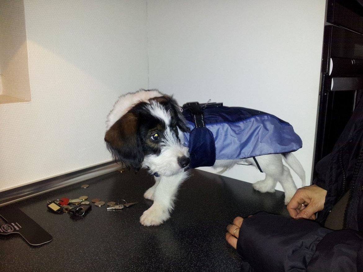 Blanding af racer Twister billede 12