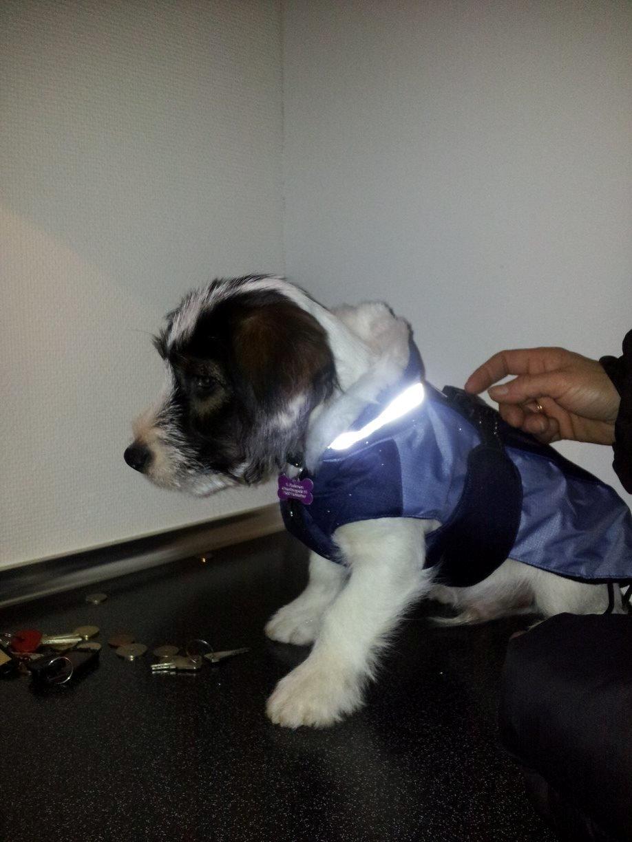 Blanding af racer Twister billede 1