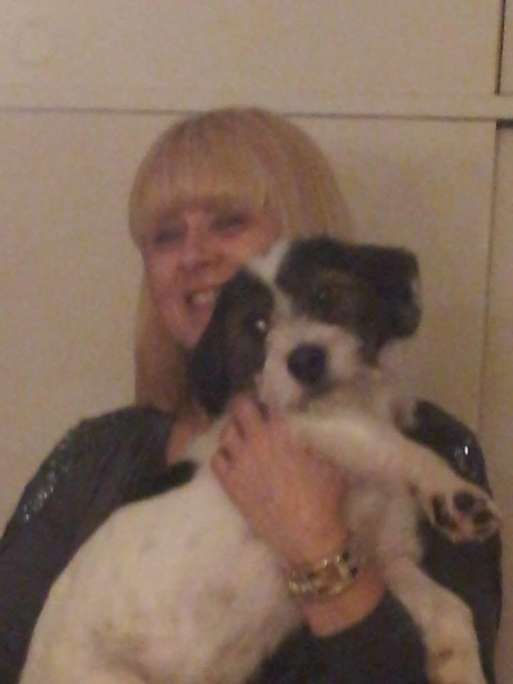 Blanding af racer Twister billede 19