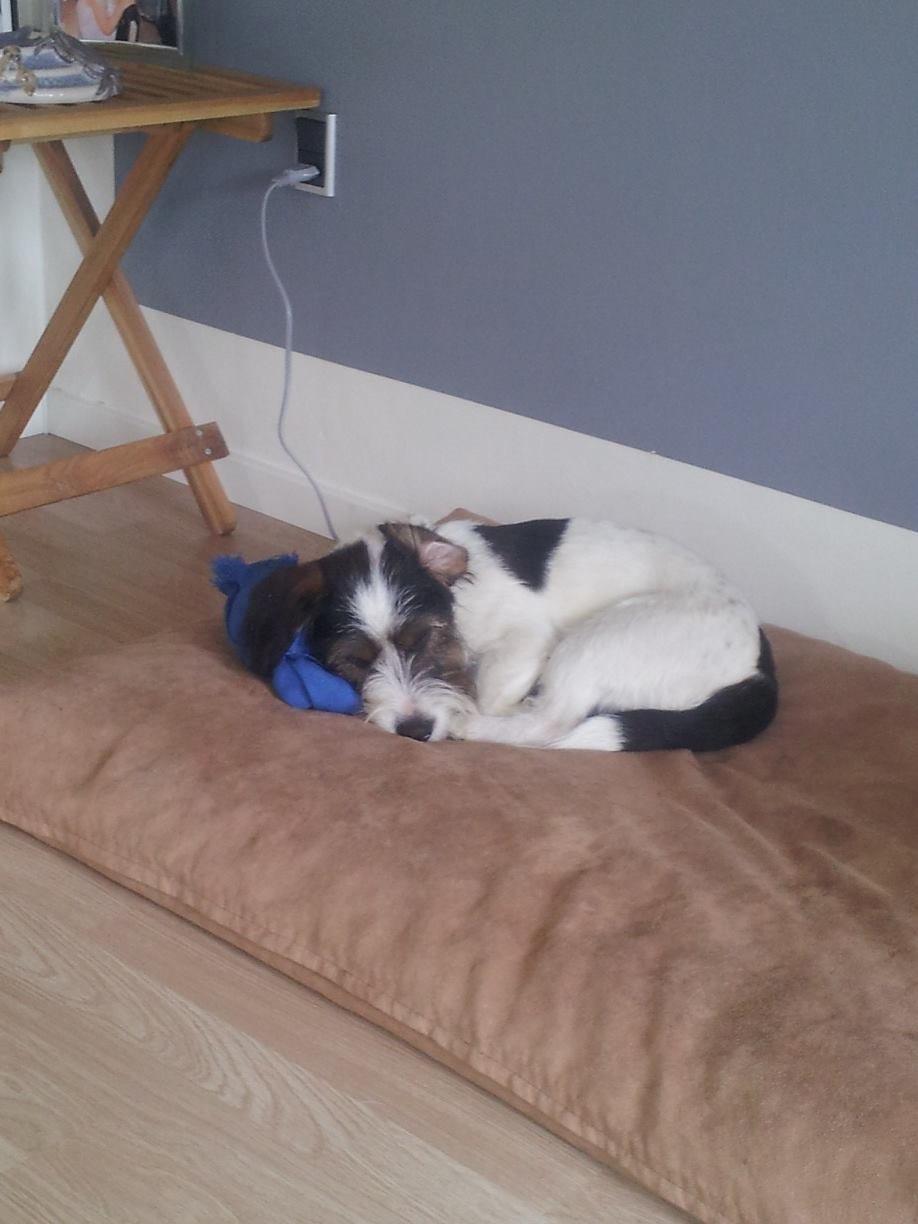 Blanding af racer Twister billede 3