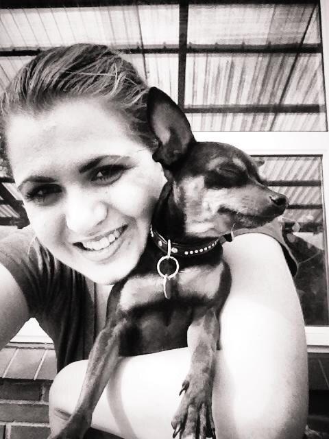 Dvaergpinscher Niko billede 4