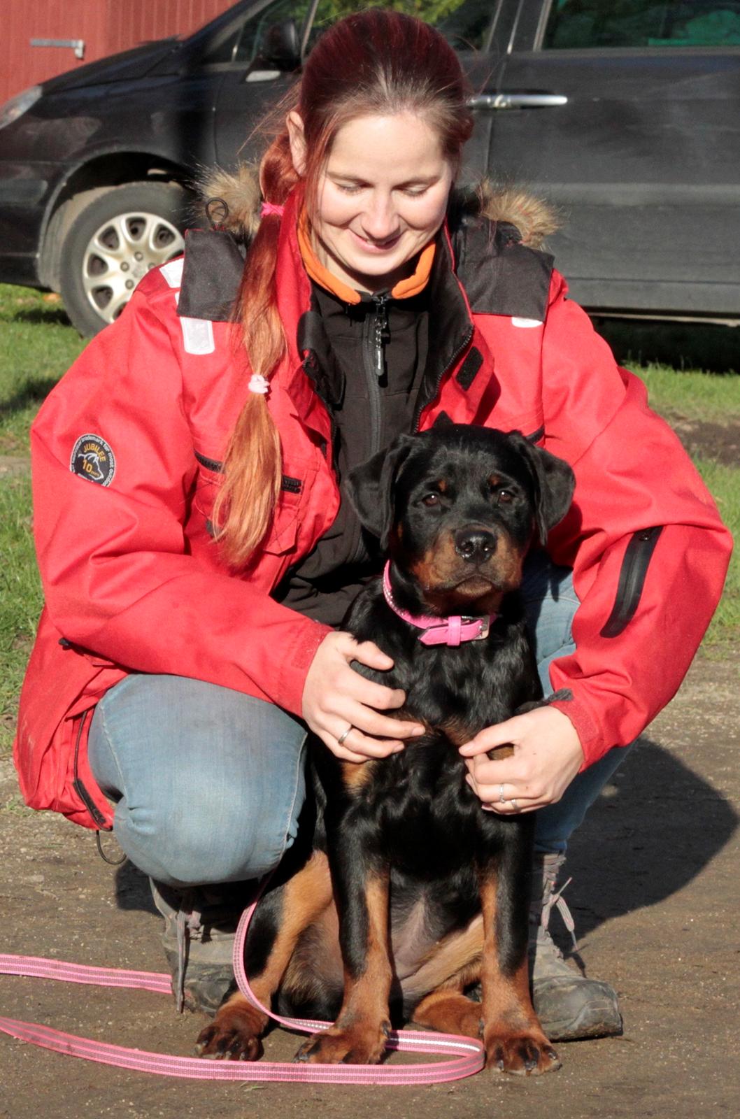 Rottweiler Haiki's Dusk to Dawn billede 2