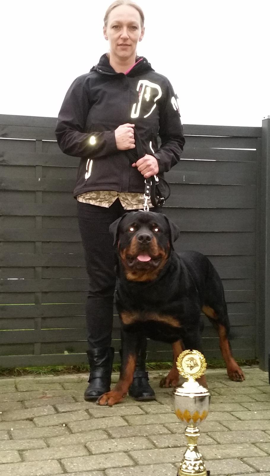 Rottweiler Vom Hause Desteny Loke billede 18