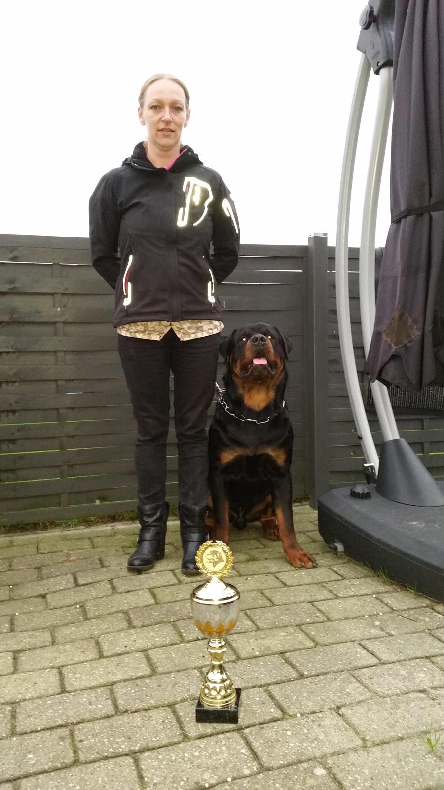 Rottweiler Vom Hause Desteny Loke billede 19
