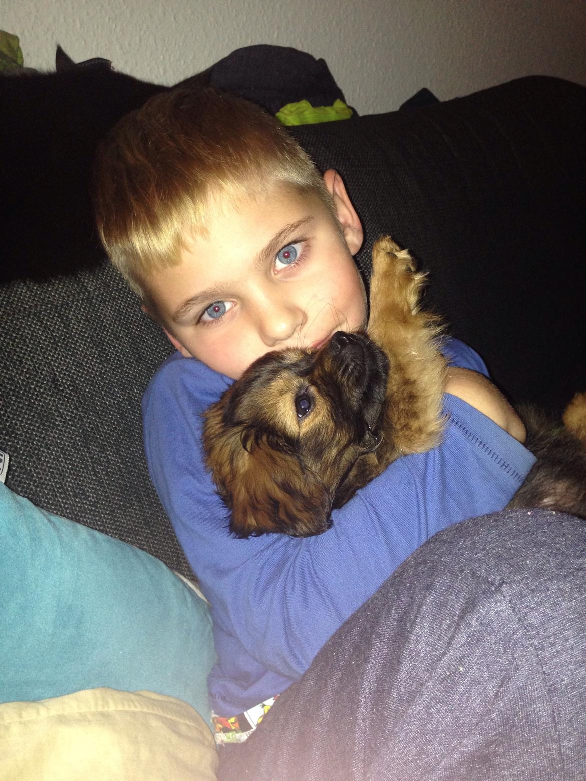 Blanding af racer Charger billede 4