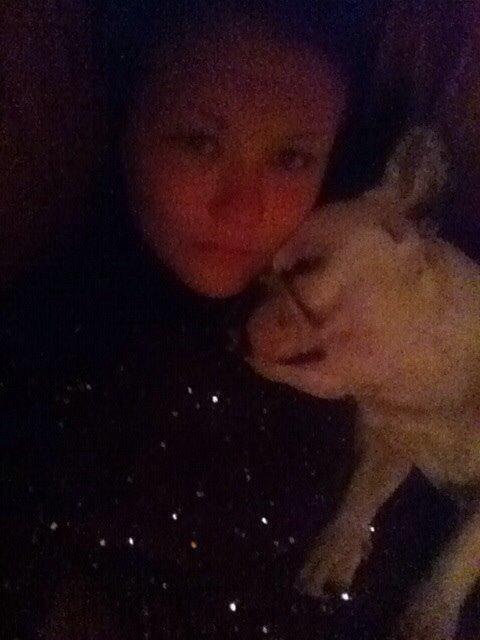 Fransk bulldog Ronja røver'datter billede 33