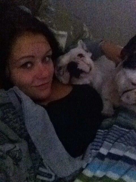 Fransk bulldog Fru Ludvig billede 49