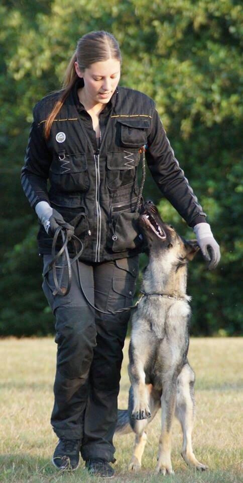 Schæferhund Team Otkjær's Dea(Kiki) billede 1