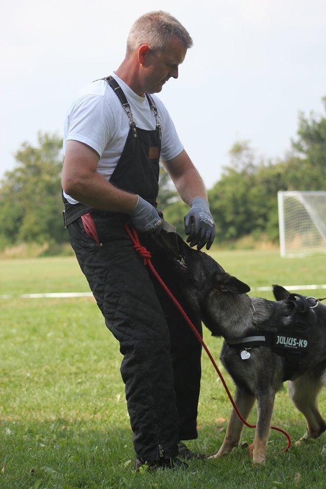 Schæferhund Team Otkjær's Dea(Kiki) billede 25