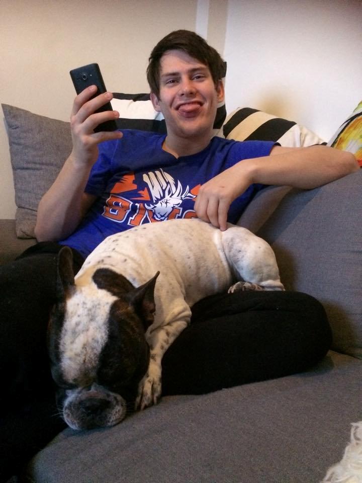 Fransk bulldog Hannibal billede 31