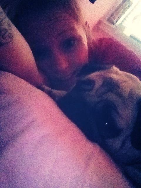 Mops Karla billede 27