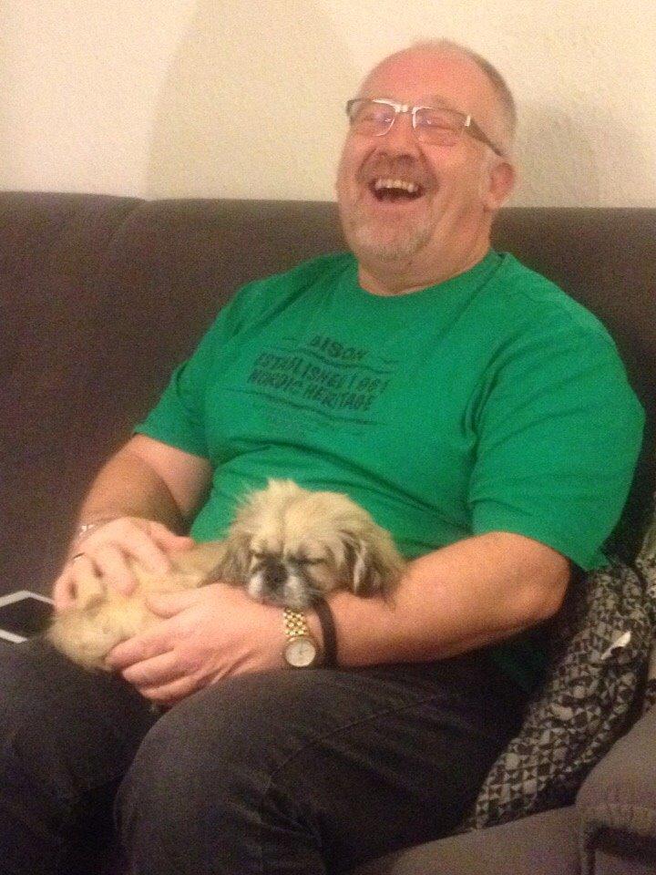 Pekingeser Diesel billede 25