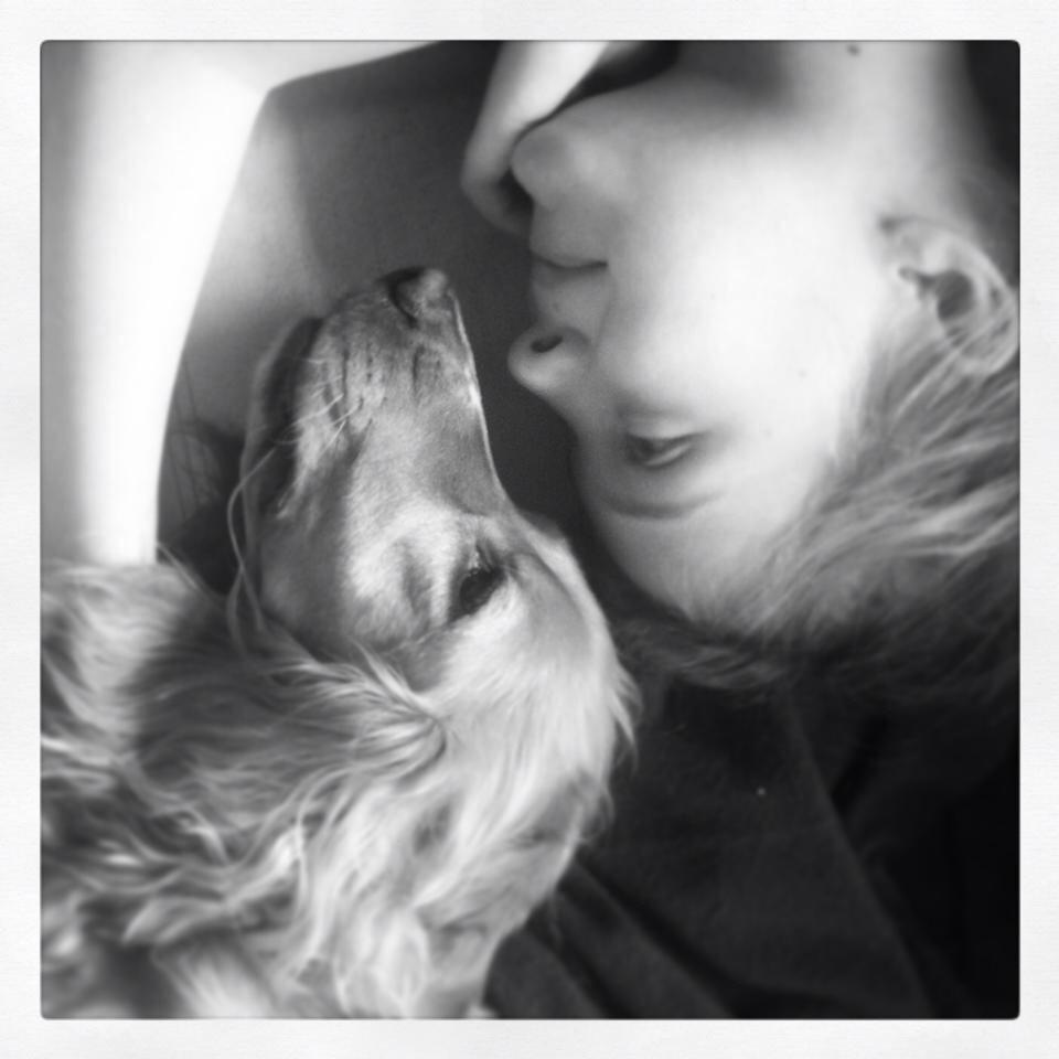 Cocker spaniel Chica billede 14