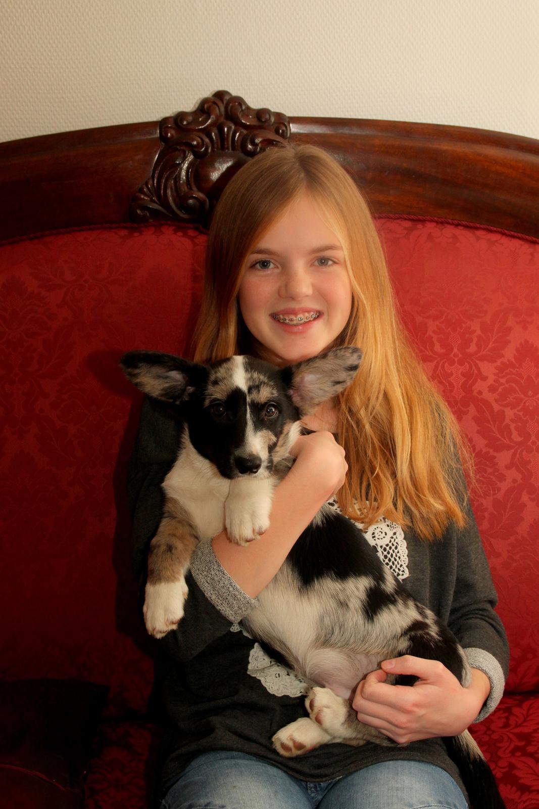 Welsh corgi cardigan Smarties Marcos - Modelfoto, Marcos og jeg (Signe) :) Taget: 24. november 2014 billede 19