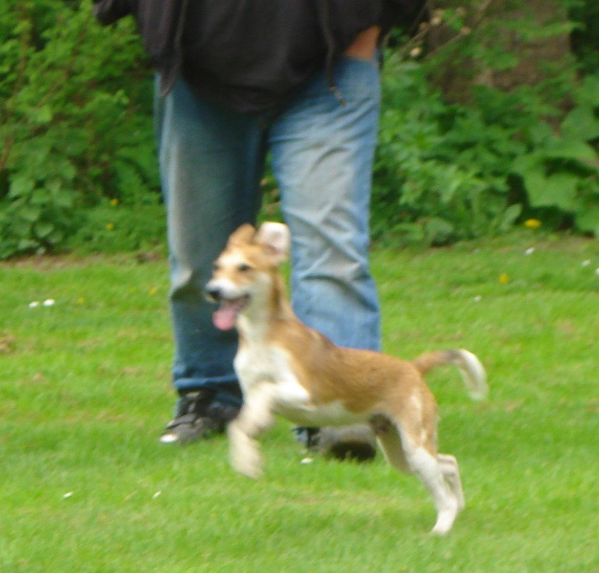 Blanding af racer Brandalarmen Anton - Anton og Jesper billede 10