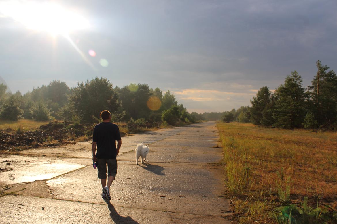 Samojedhund Hilda of Bonzo - Juni, 2014 Tur til Tyskland billede 5