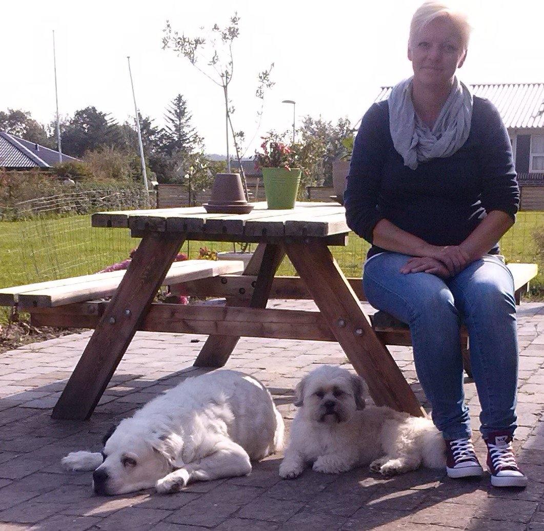 Blanding af racer Emma* himmelhund* - Emma 11 år billede 7