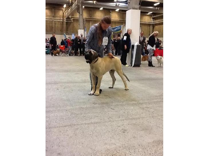 {{currentPhoto.altText}} billede {{currentPhoto.number}}