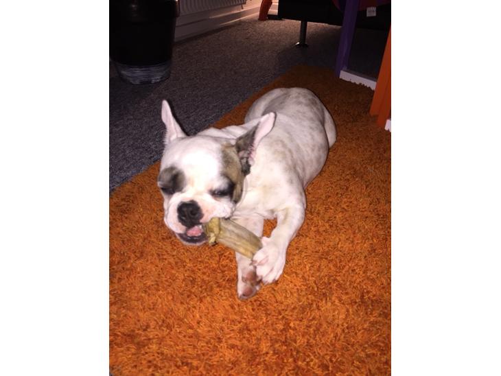 {{currentPhoto.altText}} billede {{currentPhoto.number}}