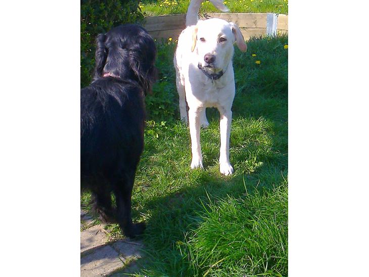 {{currentPhoto.altText}} billede {{currentPhoto.number}}