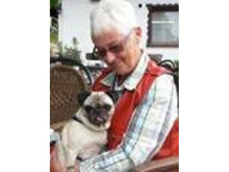 Mops Ninka billede 1