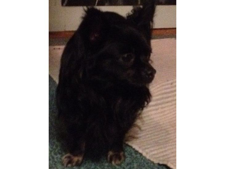 {{currentPhoto.altText}} billede {{currentPhoto.number}}