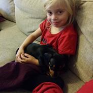 Gravhund Luxie (Gravinden)