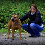 Amerikansk staffordshire terrier Chica "Elsket og savnet " R.I.P 18/8-2014