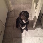 Blanding af racer Tumle