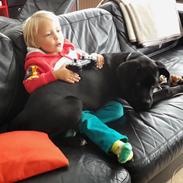 Blanding af racer Buster 