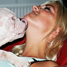 Fransk bulldog Chanel (Nellie)