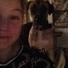 Blanding af racer Putin