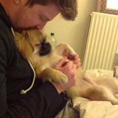 Blanding af racer Mojo