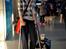 Whippet Kiwi - November 2014