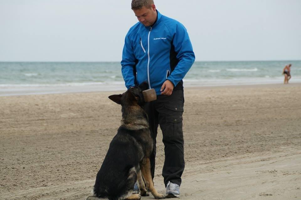 Schæferhund Team Otkjærs Darwin*R.I.P* billede 13