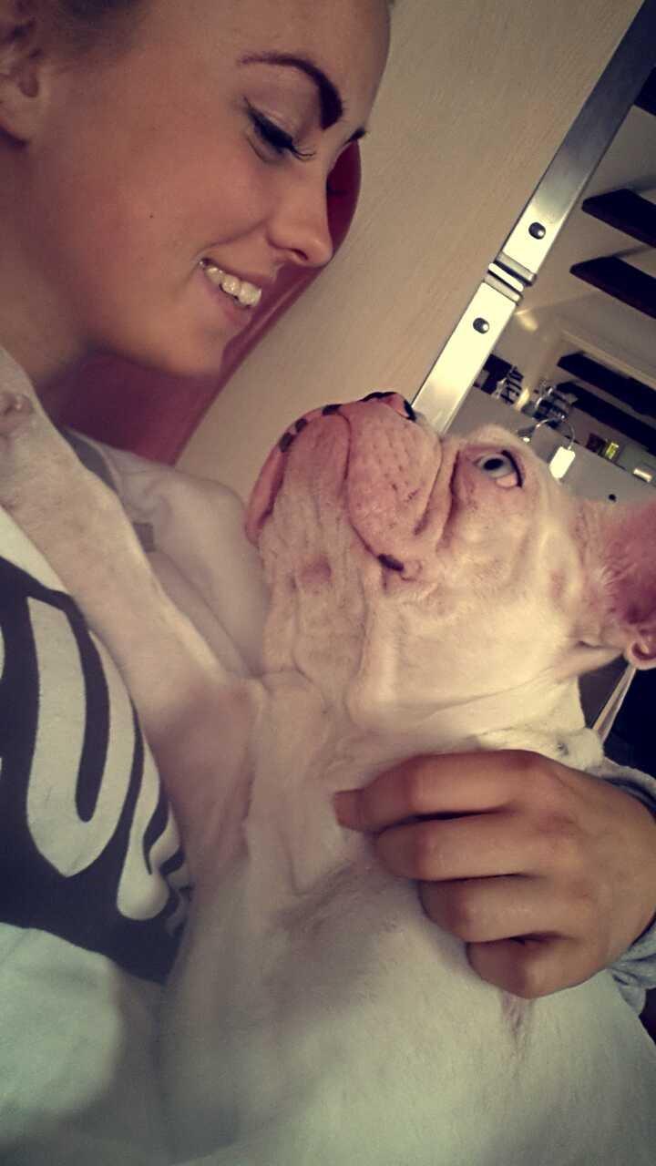 Fransk bulldog Chanel (Nellie) billede 10