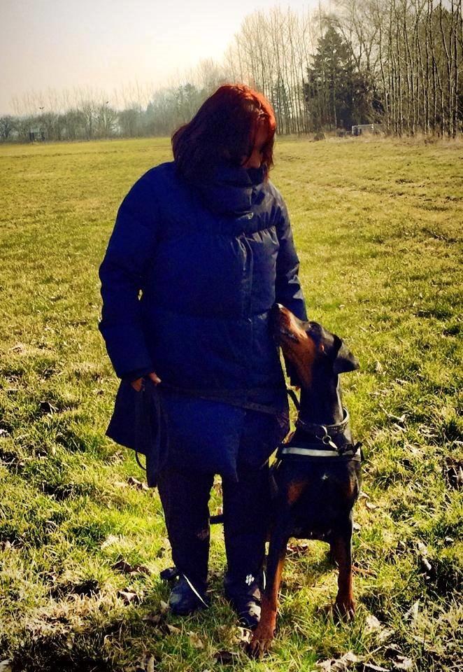 Dobermann Proud Danish Cool Casio billede 13