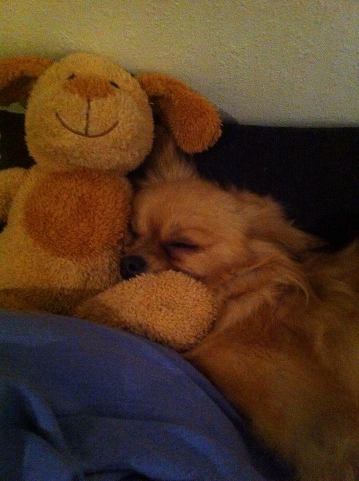 Blanding af racer Emma billede 8