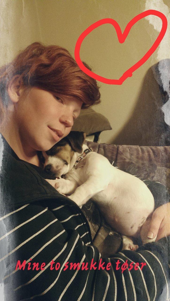 Blanding af racer Pepsi billede 5