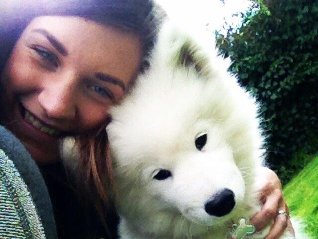 Samojedhund Eya billede 9